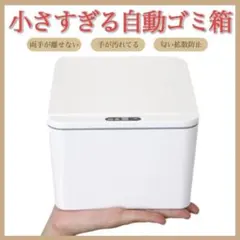 Item thumbnail for item 08523ee0-bb12-49f5-a406-b863ea0e0b8c