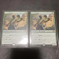MTG ロナスの狂信者 4枚セット 狂信者トークン付き - メルカリ