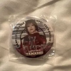 山本彰吾 缶バッジ 2個セット カプセル THERAMPAGE