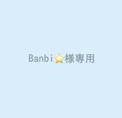 Banbi⭐️様専用