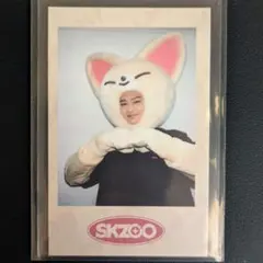 straykids スキズ アイエン SKZOO ポラロイド