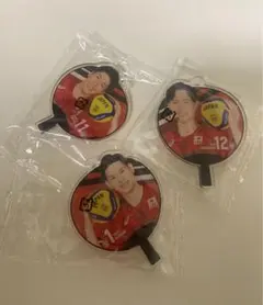 バレーボール男子日本代表 うちわアクリルチャーム　髙橋藍　西田有志　富田翔馬