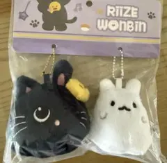 riize ウォンビン ポップアップ 中国上海 ぬいぐるみ - メルカリ