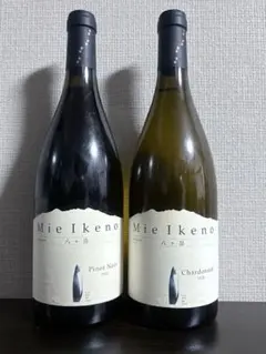 2025年最新】ミエイケノ ピノノワールの人気アイテム - メルカリ