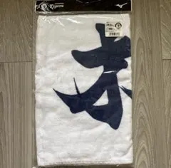 Item thumbnail for item a4274264-e9e3-4dc8-8b04-4ac651449b16