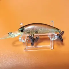 エバーグリーン タイニープレデターのサムネイル