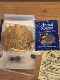 東京ディズニーリゾート Annual Passport ピン 年間パス非売品 - メルカリ