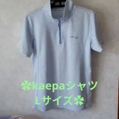 Kaepa ハーフジップ 半袖シャツ ボーダー柄のサムネイル