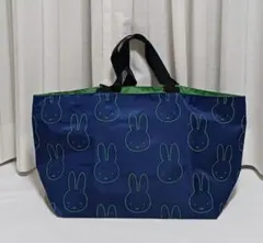 Item thumbnail for item fd4b8675-d54a-4184-a884-a551fd3aae82