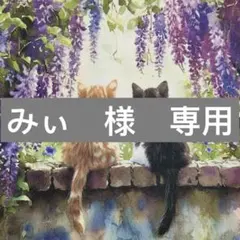 みぃ様　専用