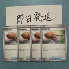 せいなるはいのサムネイル