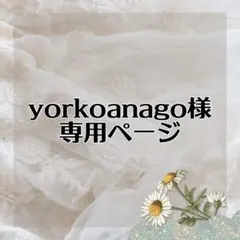 yorkoanago様 リクエスト 3点 まとめ商品