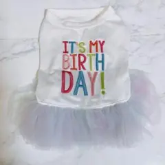 犬服　ワンピース 春夏用　XSサイズ　英文字　（小型犬用）最終値下げ‼️