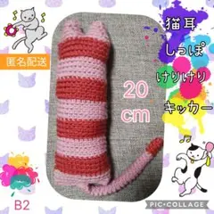 B2 けりけりキッカー猫耳＆しっぽ
