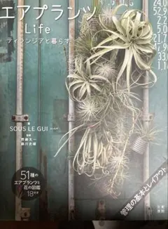 2026年最新】ティランジアの人気アイテム - メルカリ