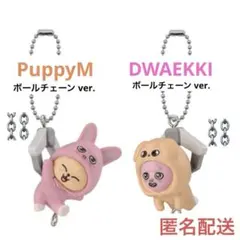 SKZOO つまんでつなげてますこっと パピム スンミン トゥエッキ チャンビン