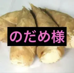 のだめ様　京都山城産　朝掘り筍4kg