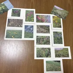 Item thumbnail for item 2c81f089-feba-4d96-a606-f33bb42d1612