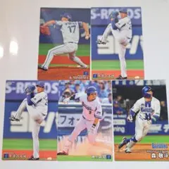 カルビー プロ野球チップス 横浜DeNAベイスターズ 5枚セット