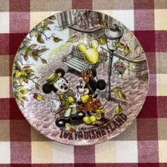 東京ディズニーランド ミッキー ミニー プレート