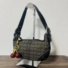 Coach 6351 Hobo Signature Shoulder bag