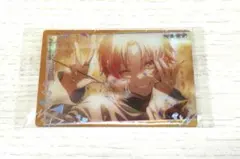 プロセカ ウエハース 10 天馬司