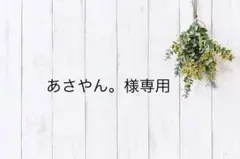 あさやん。様専用