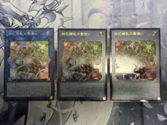 四花繚乱の霊使い　レリーフ2枚　シークレットレア1枚