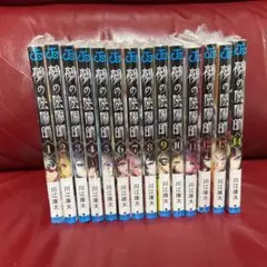 鵺の陰陽師 最新15巻ほぼ初版セット 新品未開封 川江康太 - メルカリ