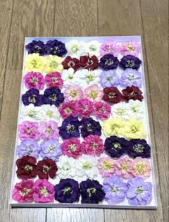 もくれん様 リクエスト 2点 まとめ商品