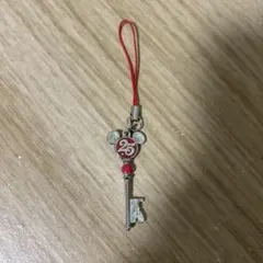 東京ディズニーリゾート25周年記念 ストラップ