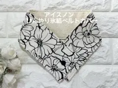 Item thumbnail for item 93fa228f-d4db-4e1e-ad7f-ba28fe1910de