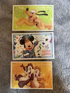 東京ディズニーリゾート チケットセット使用済み