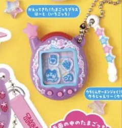 たまごっち　シャカシャカチャーム2 ウラまめっち