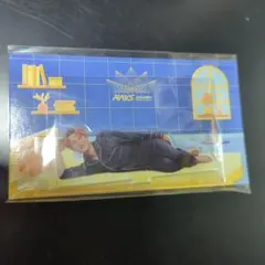 SnowMan 岩本照 RAYS アクスタ