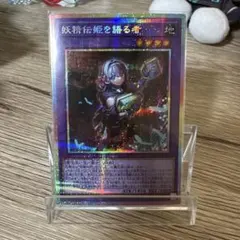 妖精伝姫を語る者 プリシク