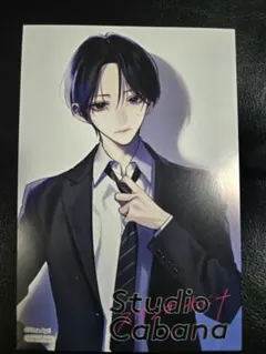 スタジオカバナ　ポストカード　非売品