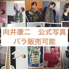 向井康二　公式写真　62枚　バラ購入可