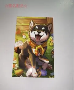 にじさんじ ノスタルジア コレクションカード 黒井しば