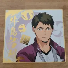 ハイキュー!! 牛島若利 ビジュアル色紙コレクション