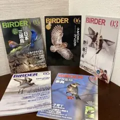 2026年最新】birder 2023の人気アイテム - メルカリ