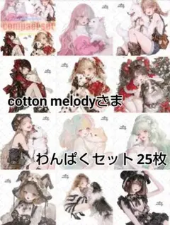 cottonmelody 様 わんぱくせっと 25枚　人物ステッカー　コラージュ