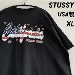 STUSSY ステューシー ロゴ Tシャツ 黒 OLD オールドMX USA製