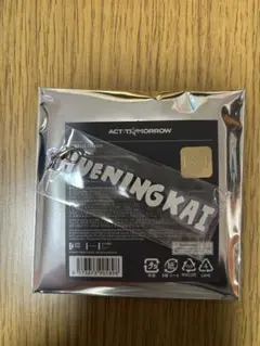 TXT ACT:TOMORROW アクリルチャーム ヒュニンカイ