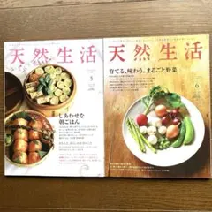 Item thumbnail for item 2e1bca3e-8707-4937-aa65-1eecdd320951