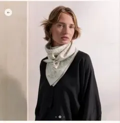 2025年最新】エルメス プリーツスカーフの人気アイテム - メルカリ