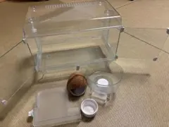 Item thumbnail for item 6e451a61-29f6-468f-b6ae-3e5e166ba15f