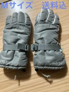 Item thumbnail for item 749bf199-af16-4fd3-af3d-5636449f9777