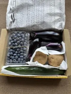 野菜セット　詰め合わせ　新鮮野菜　無農薬③