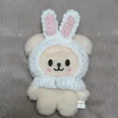 StrayKids SKZOO 着せ替え 10cmぬい スンミン パピーム